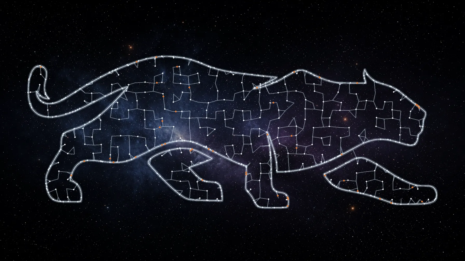 Jaguar drawn as a network of connected points